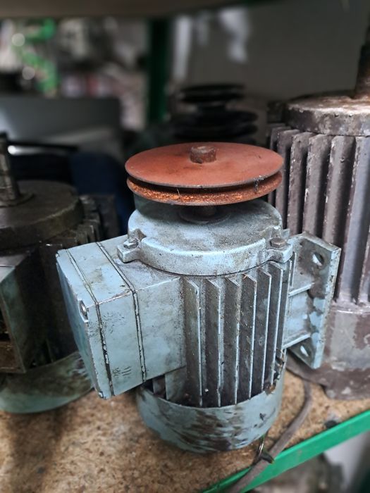 Silniki elektryczne 0.56kw-3kw Mochelnica wysoka półka