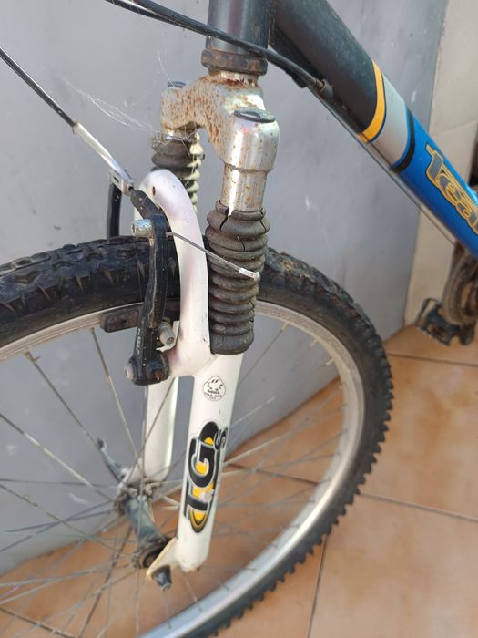 Dias bicicletas uma de passeio e outra de  desporto