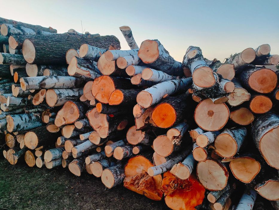 drewno opałowe, kominkowe, do wedzarni, grilla,  brzoza, olcha