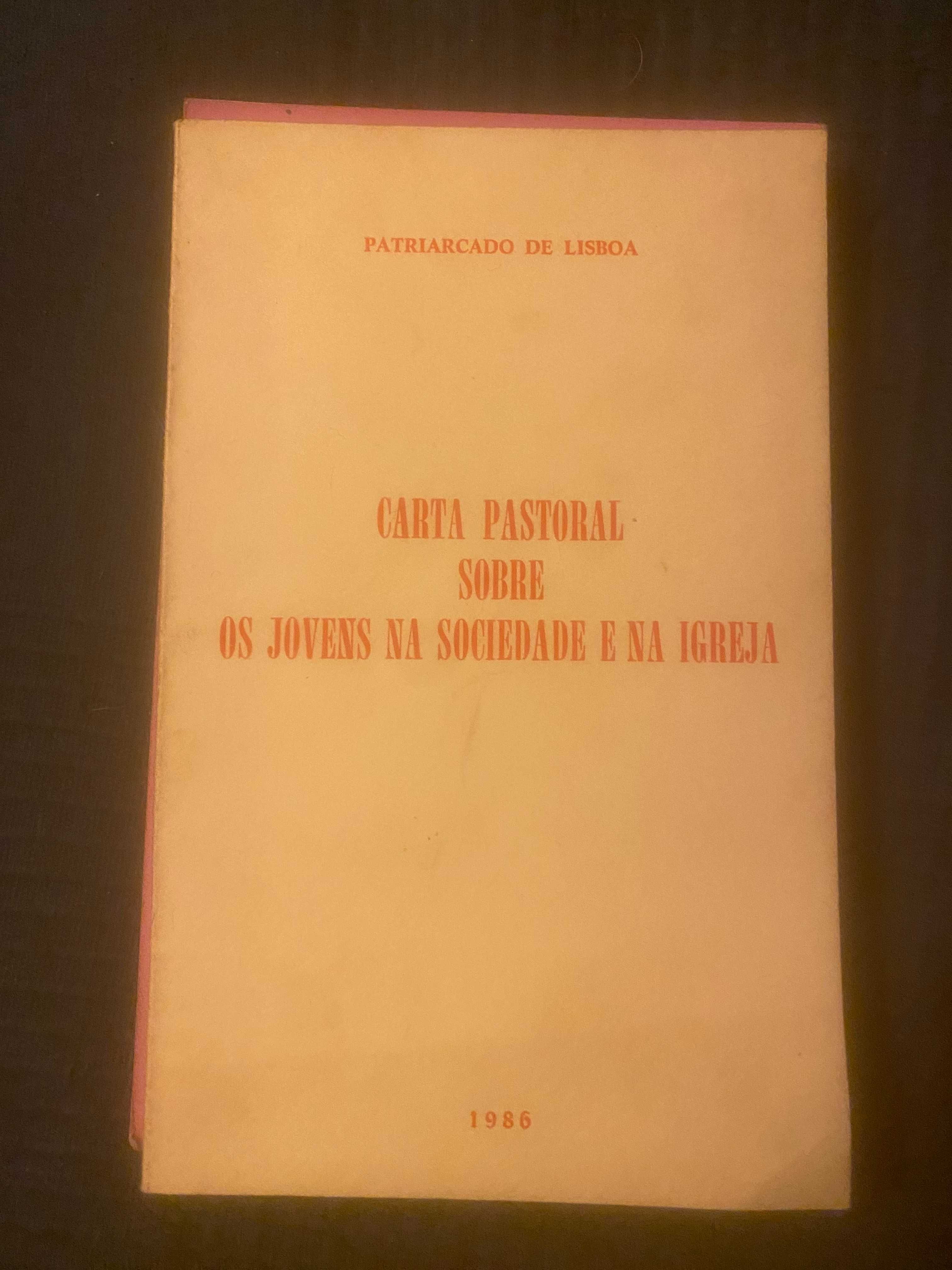 livro carta pastoral sobre os jovens na sociedade e na igreja