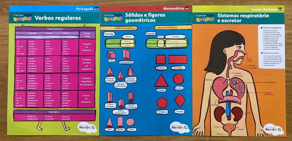 Conjunto de 15 Pósteres Escolares