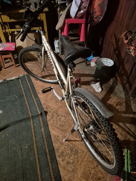 Rower sprawny technicznie