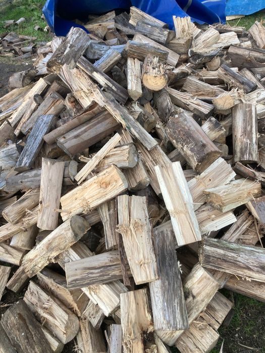 Lenha seca Australia/Eucalipo