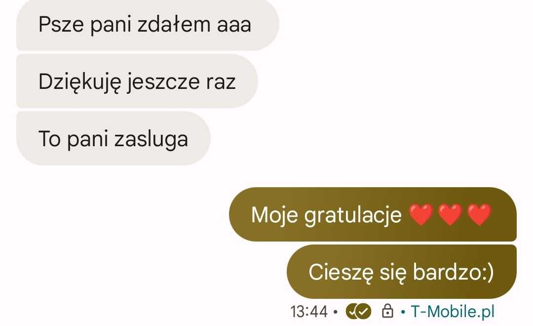 Nauczyciel  polskiego przygotowujący  do poprawek , online i w domu .