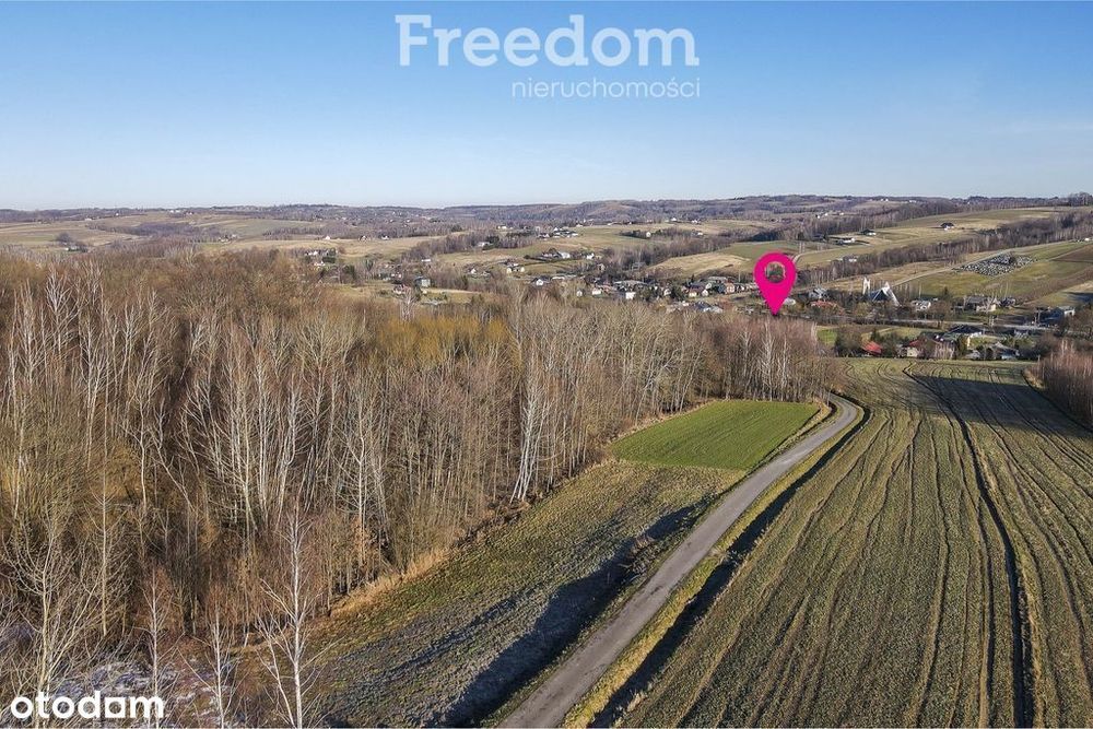 Działka 22,38a | Błędowa Tyczyńska