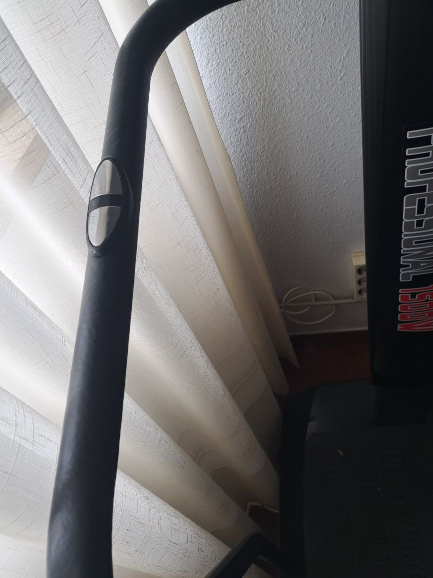 Plataforma vibratória vibroMax e aparelho de abdominais Promaster