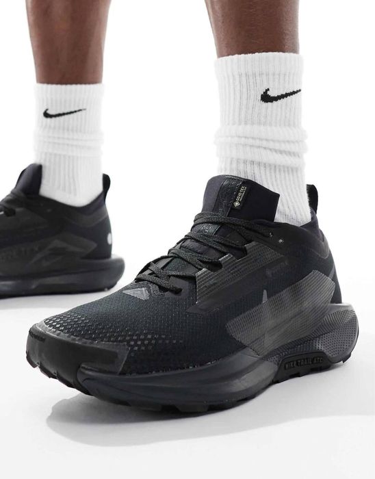 Кросівки Nike Pegasus Trail 5 GORE-TEX