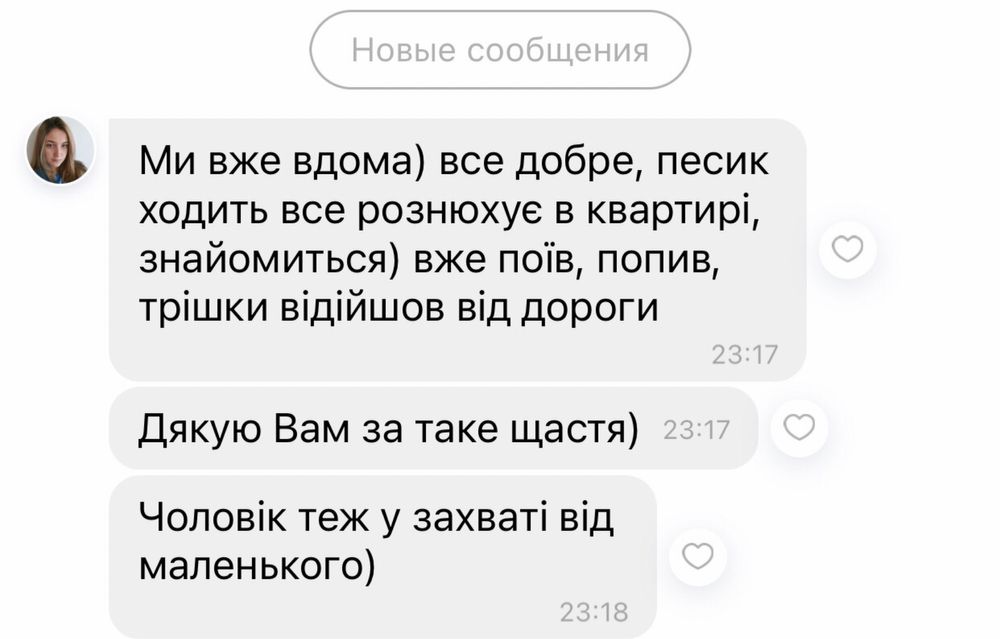 Хто шукає диво?)