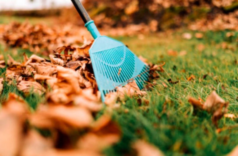 realizo pequenos serviços de jardinagem