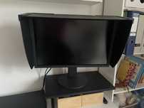 Minitor graficzny EIZO colour EDGE CG2420