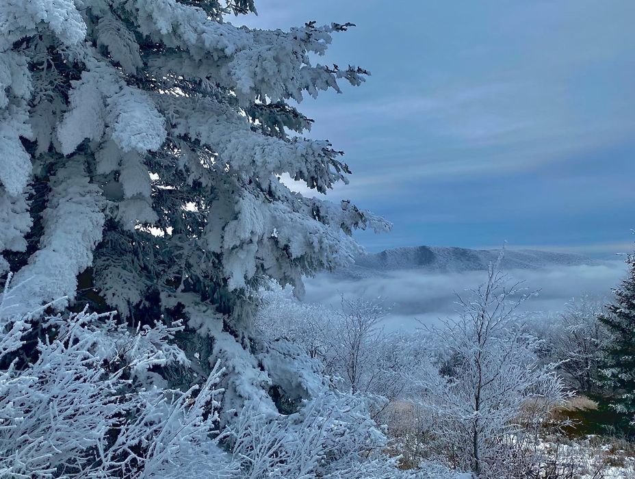 Ferie 2026 Bieszczady jacuzzi sauna noclegi Apartamenty i pokoje