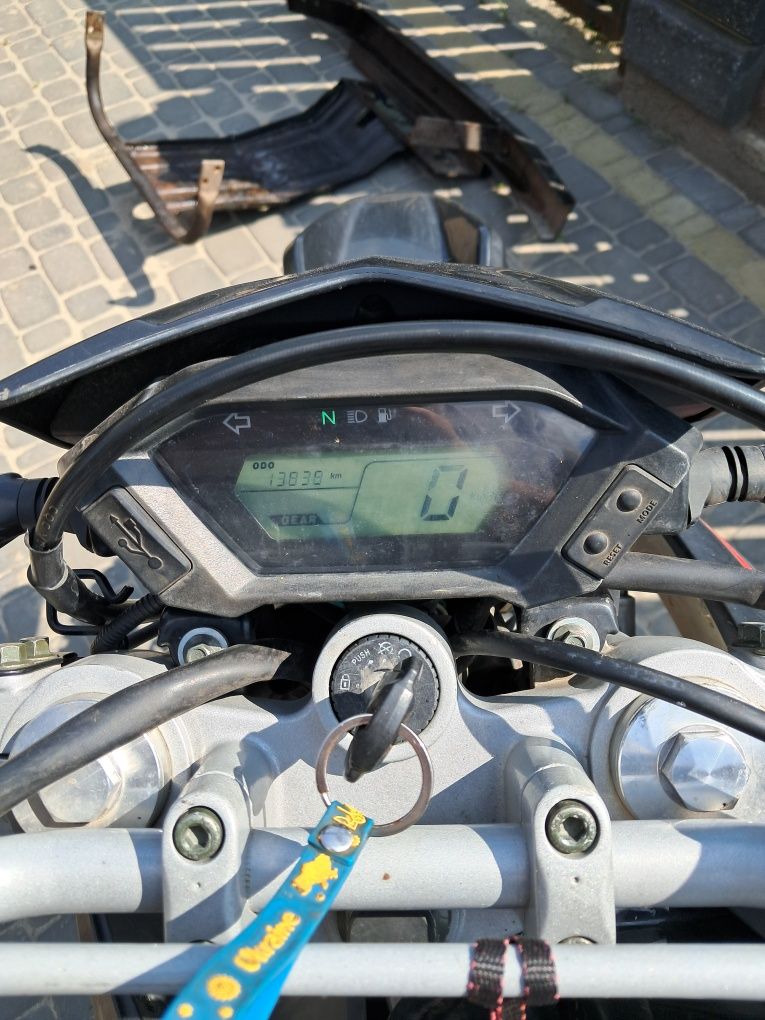 Продам лонсіна..