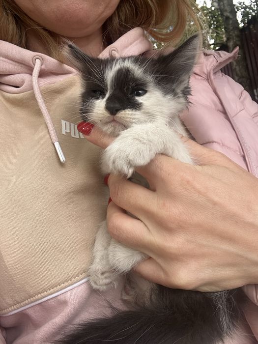 Харизматичний котик Фєдя шукає родину