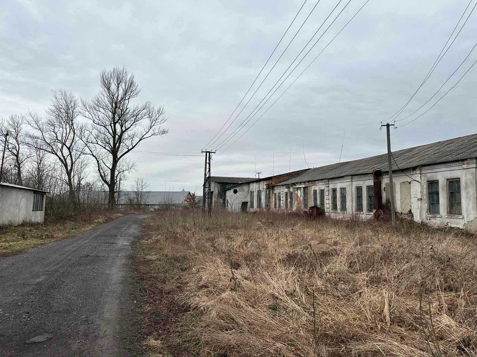 Продається ТЗОВ " Іршавська меблева фабрика"