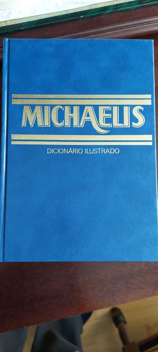 Dicionário Ilustrado Michaelis português inglês