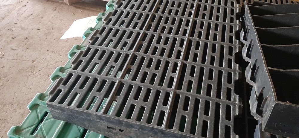 Ruszt plastikowy maciorowy import Holandia