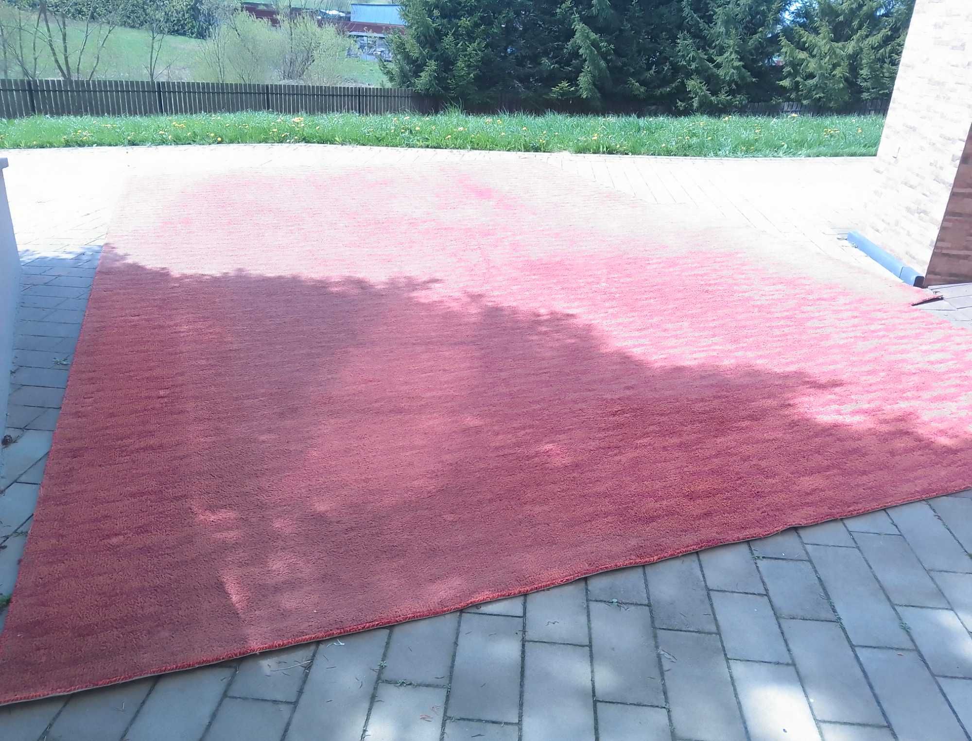 Wykładzina dywanowa duża 2 zł m/kw.