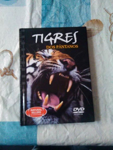 DVD e livro tigres dos pântanos
