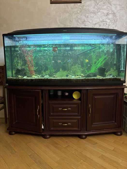 Акваріум 300л продам