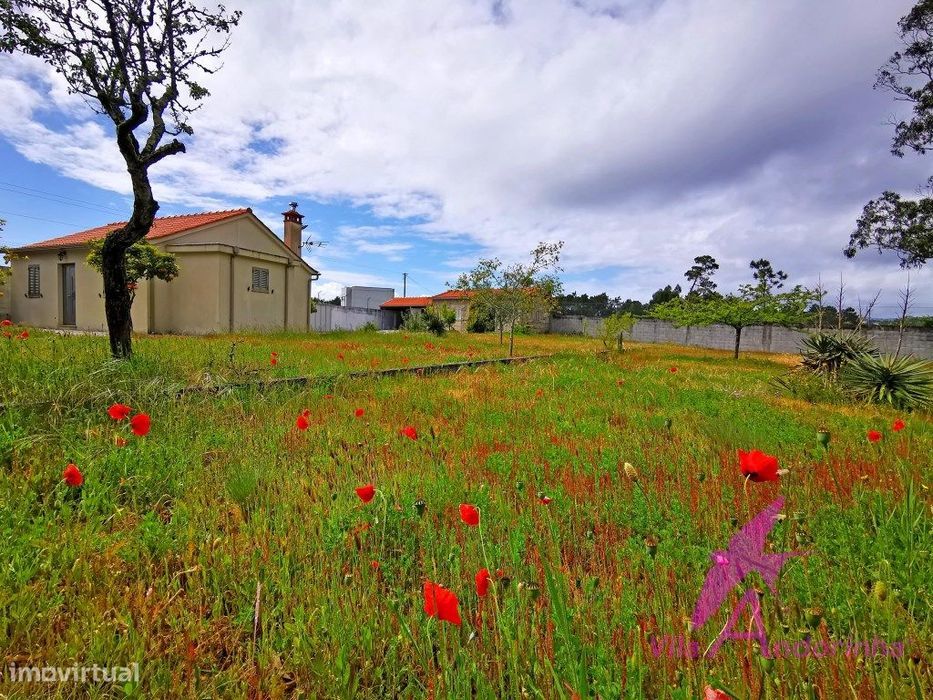 2 Moradias Térreas, T2 mais T0 em Chafé independentes