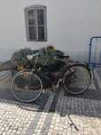 Vendo bicicleta YE-YE