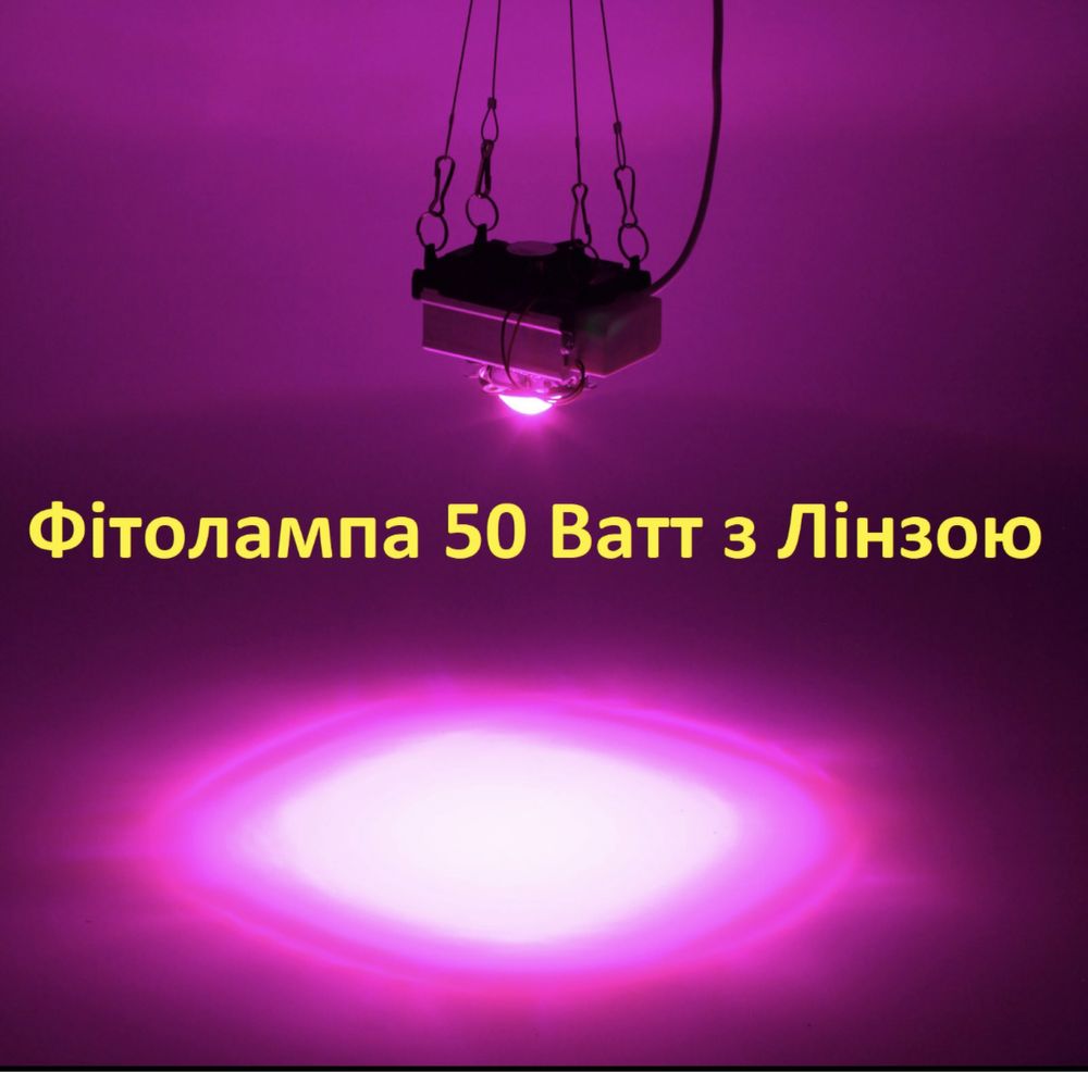 Фітолампа 50 Ватт , гроубокс, теплиця