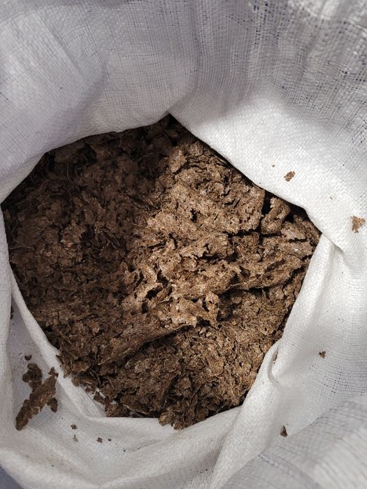 Makuch z ostropestu wytłoki po tłoczeniu oleju na zimno