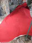 Tapete  passadeira vermelho