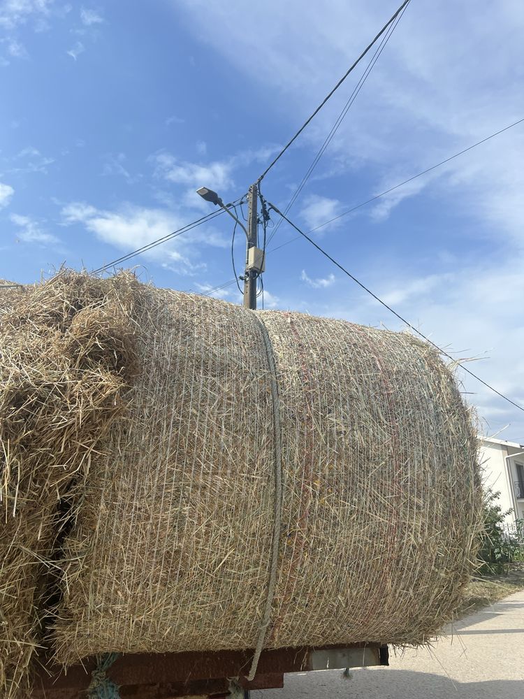 Rolos de palha da ultima campanha