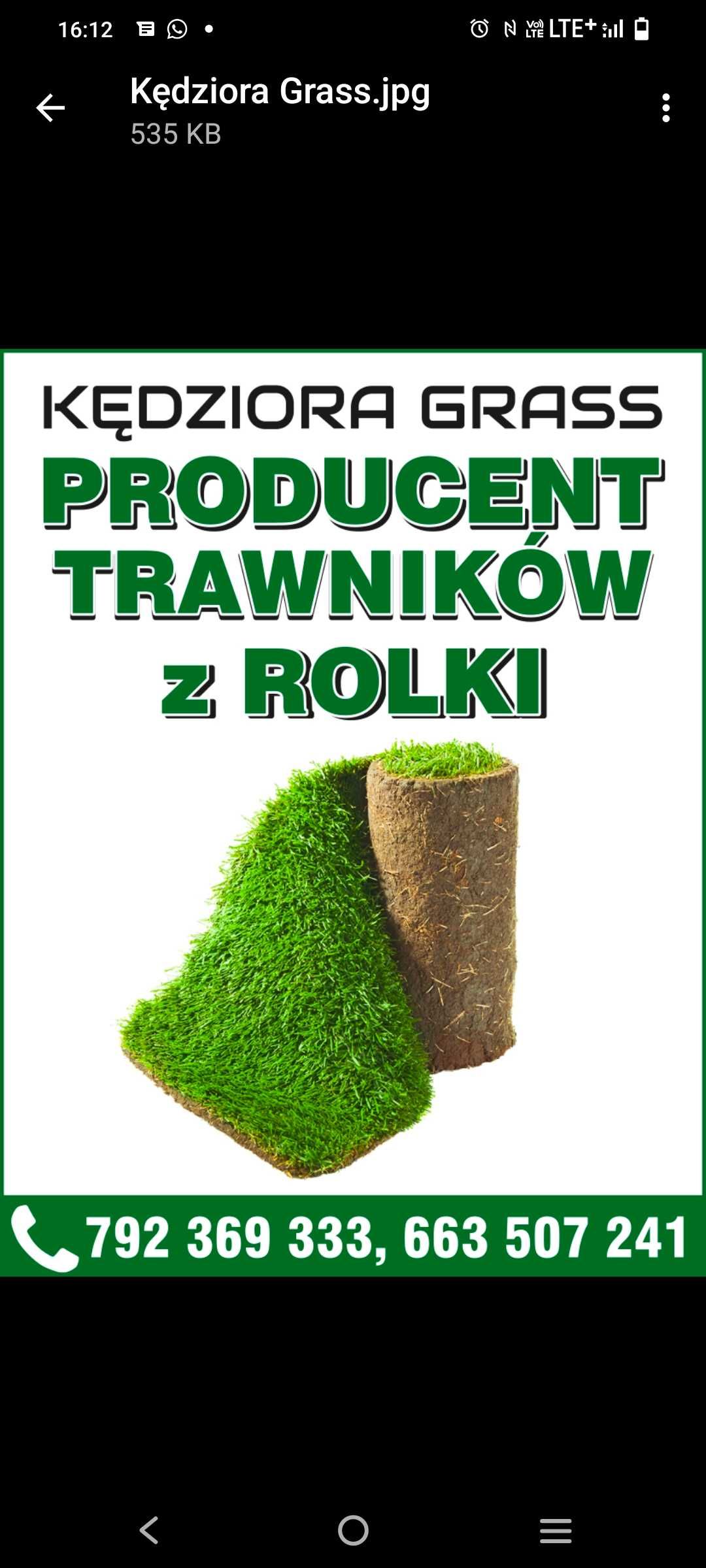 Trawa z rolki. Wysoka jakość . Producent
