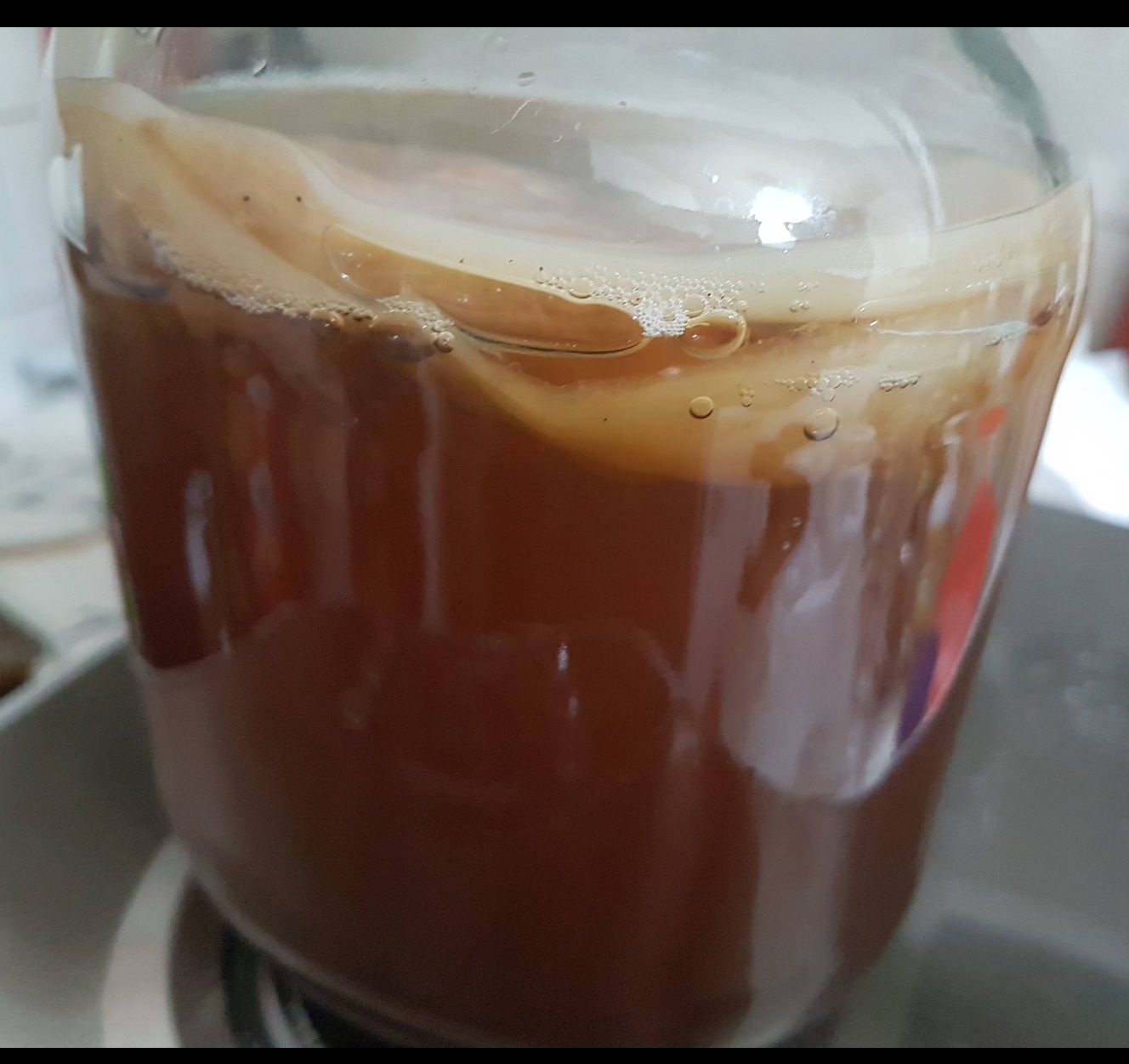 Kombucha Chá Verde (Bebida/2 Scoby/Starter/Pote)