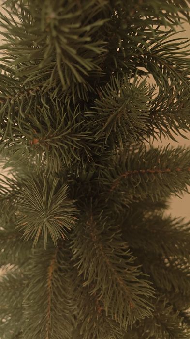 Ялинка лита 1,2 метра