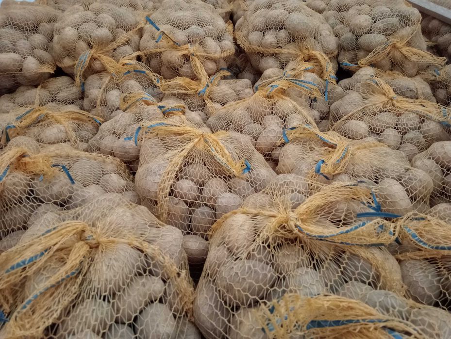 ziemniaki soraya jadalne żółte