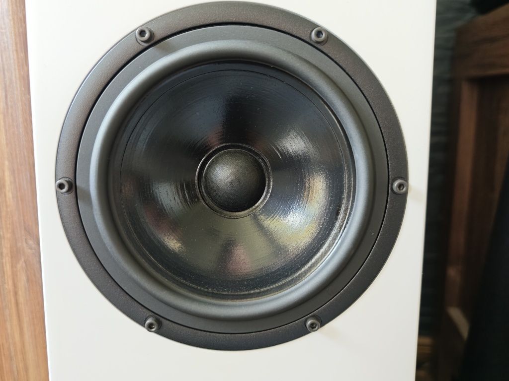 Pylon Audio Diamond 30 | biały mat | Kartony | Gwarancja