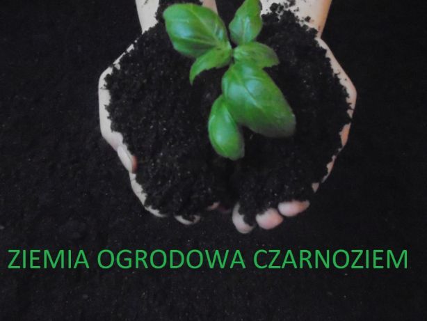 Humus do ogrodu czarna ziemia pod trawniki ziemia ogrodowa Czarnoziem