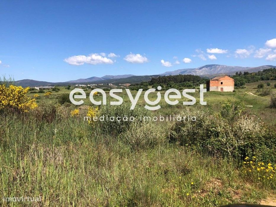 Terreno Rústico de 46800m2 com regadio e ruina localizado no Fundão