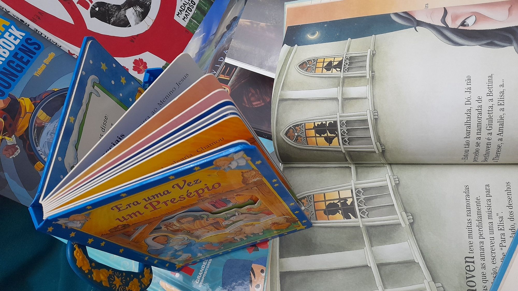 Lote 16 Livros infantis e juvenis
