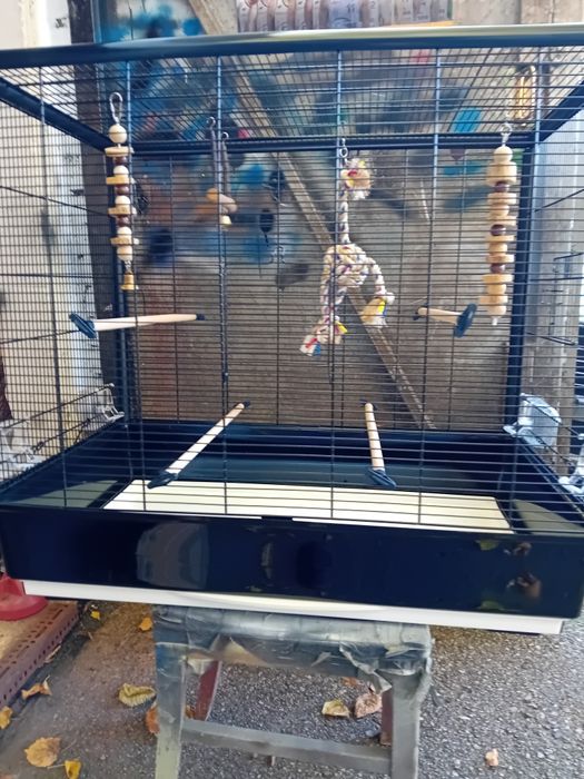 Klatkę dla papugi używaną sprzedam