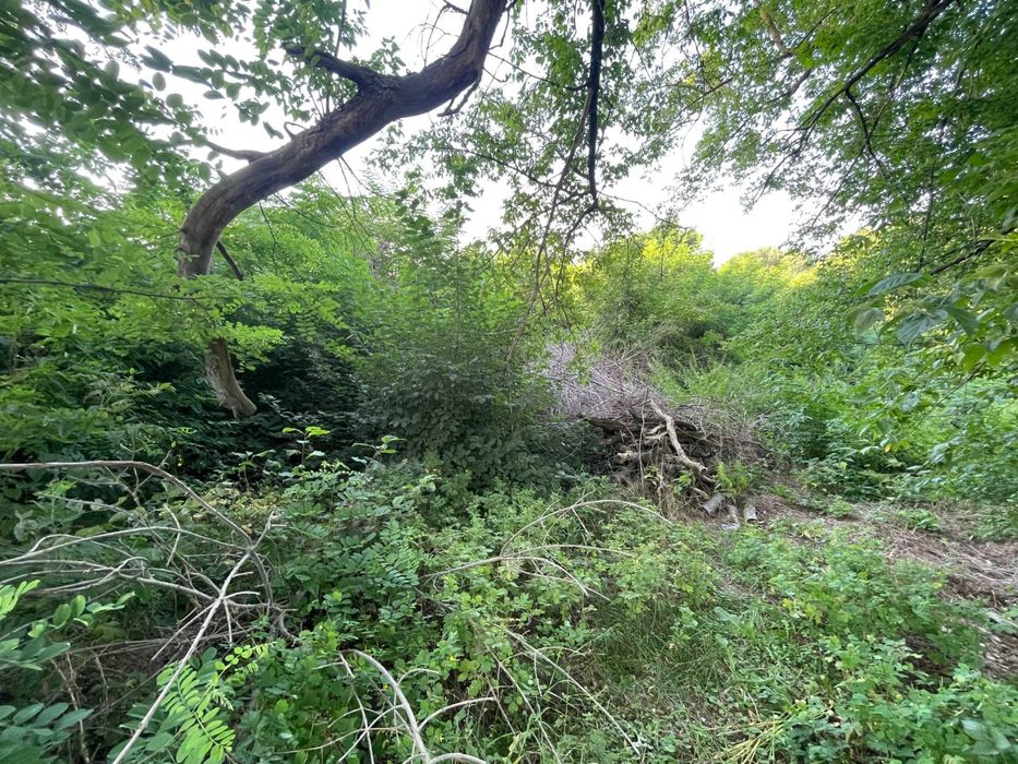 Земля, що працює на вас: 6 соток для максимального прибутку! HH