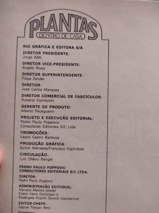 Plantas dentro de casa