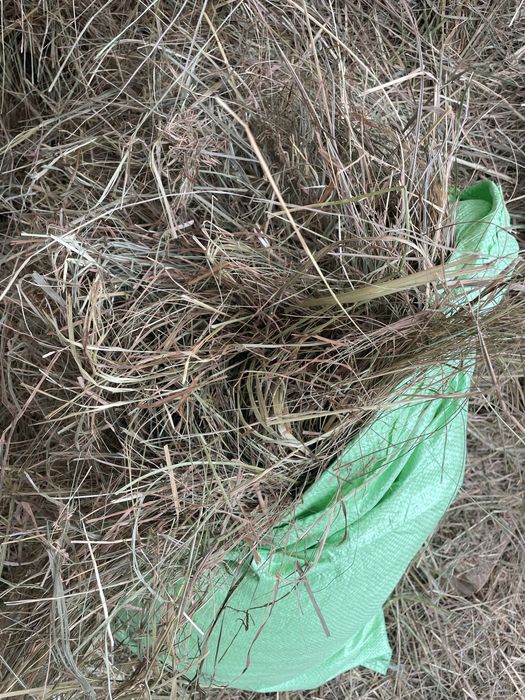 Siano pierwszy pokos worki dla gryzoni królikow