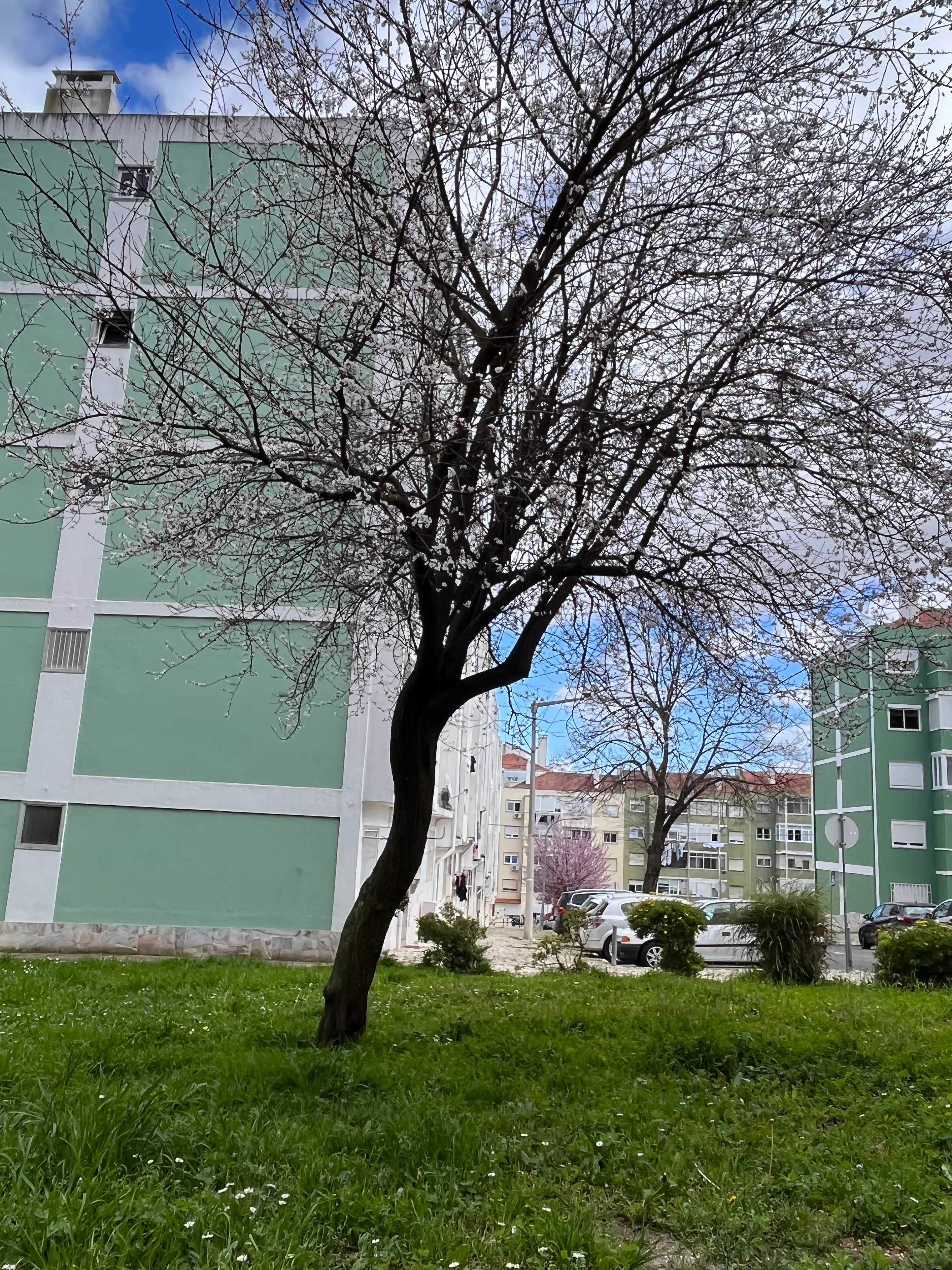Arrendamento de quarto