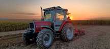 Massey Ferguson 3065