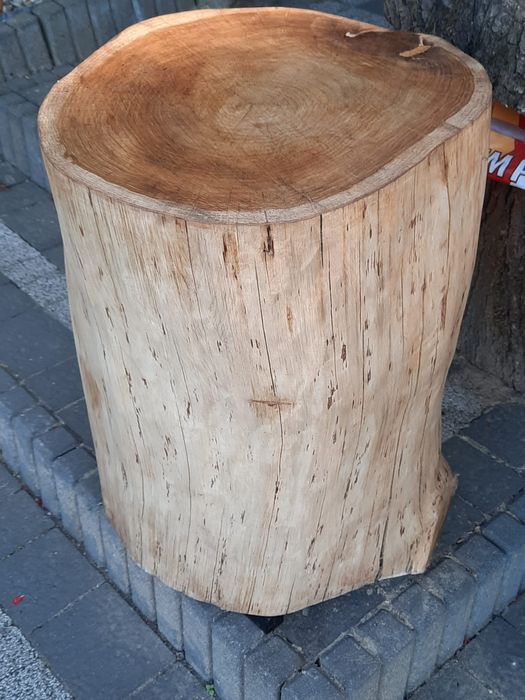 Stolik kawowy z pnia dębu na metalowej podstawie.