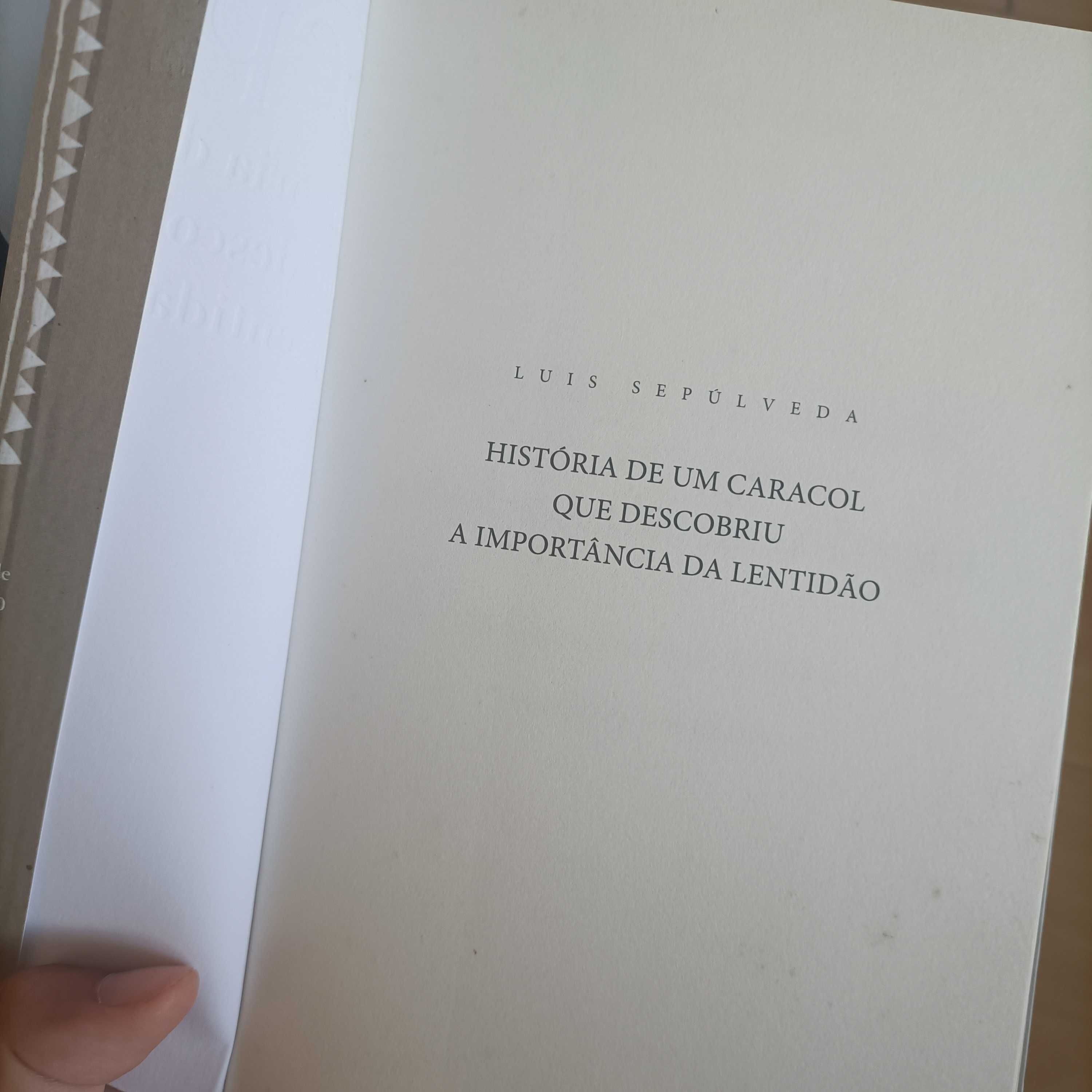 Livro-História de um caracol que descobriu a importância da lentidão