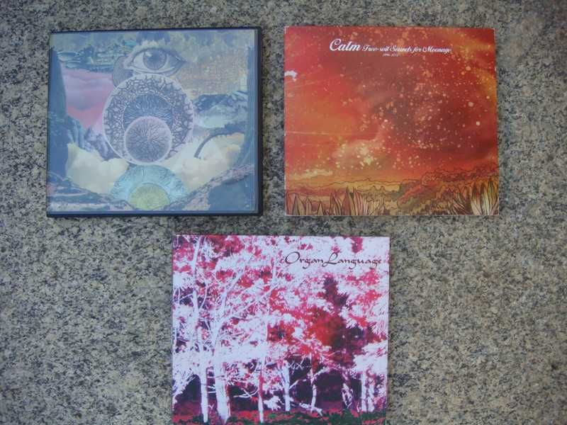 Coleção de 17 cd´s música japonesa