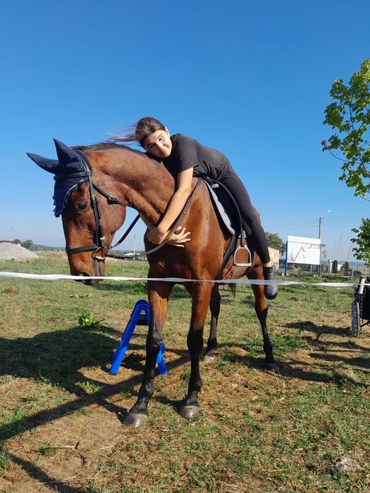 Sprzedam klacz łagodna spokojna