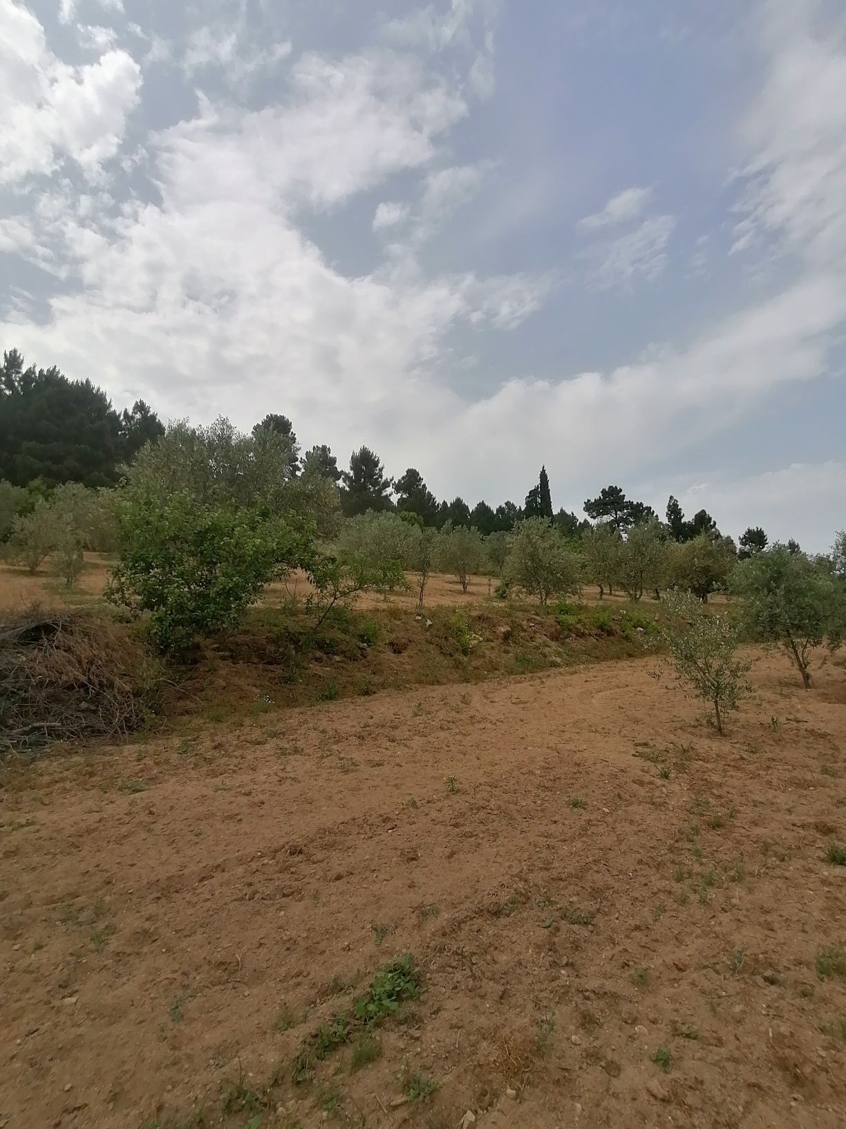 Venda terreno - Quinta