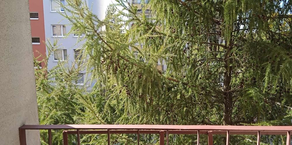 Do wynajęcia mieszkanie,  2 oddzielne pokoje.