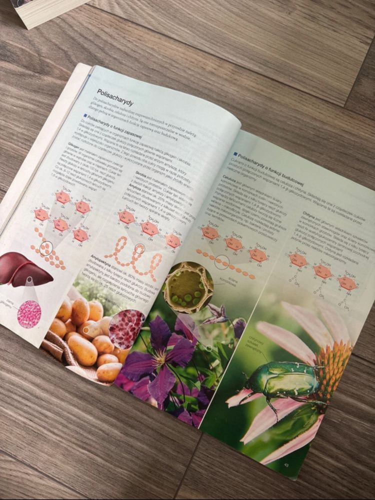podręcznik do biologii roszerzonej 1 biologia na czasie 1